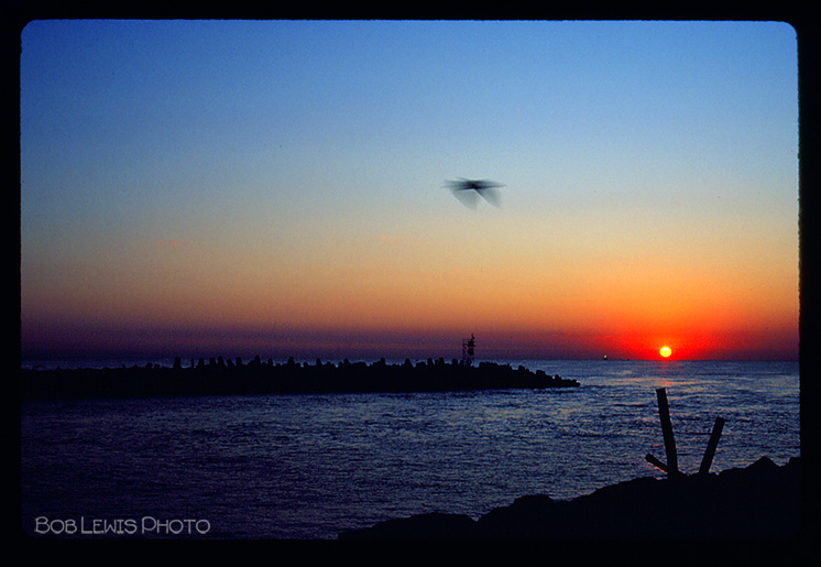 manasquan inlet point pleasant nj