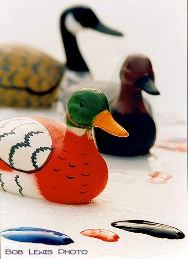 bob lewis photo painted ducks